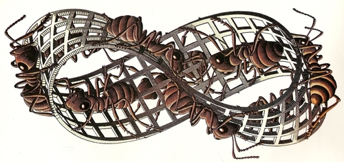 Mobius Strip